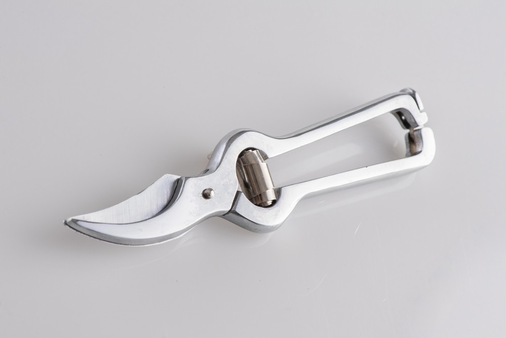 Sécateur à Fleur chromé